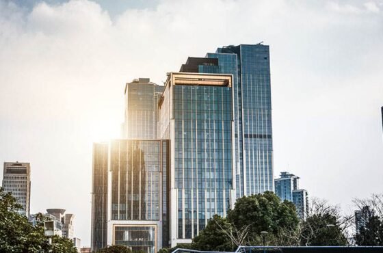 El nuevo interés preferencial